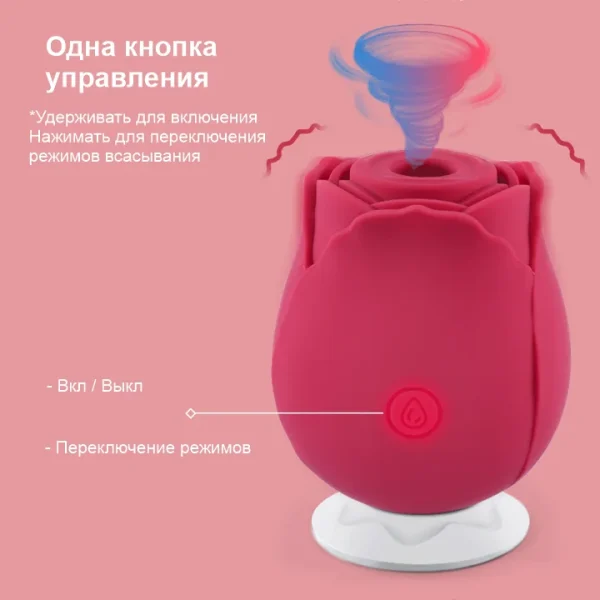 roza-knopka